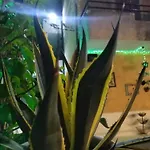 Il Casale Soffio Di Terra 3*