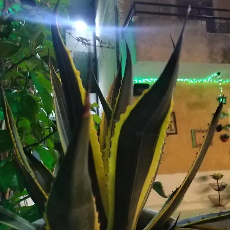 Il Casale Soffio Di Terra 3*